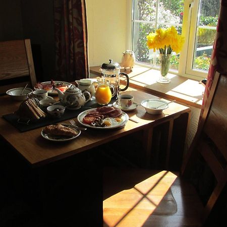 Villa Bryn Sion Farm Dinas Mawddwy Esterno foto