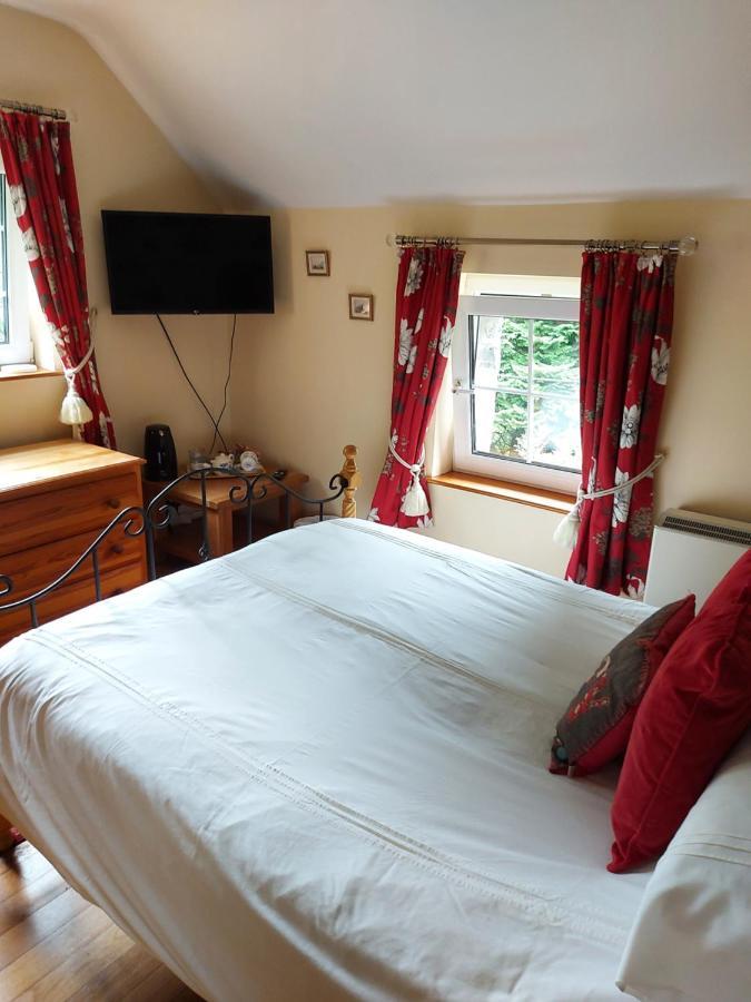 Villa Bryn Sion Farm Dinas Mawddwy Esterno foto