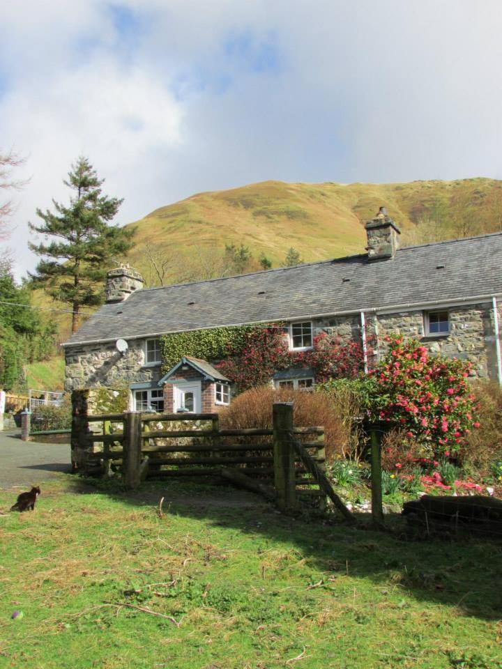 Villa Bryn Sion Farm Dinas Mawddwy Esterno foto